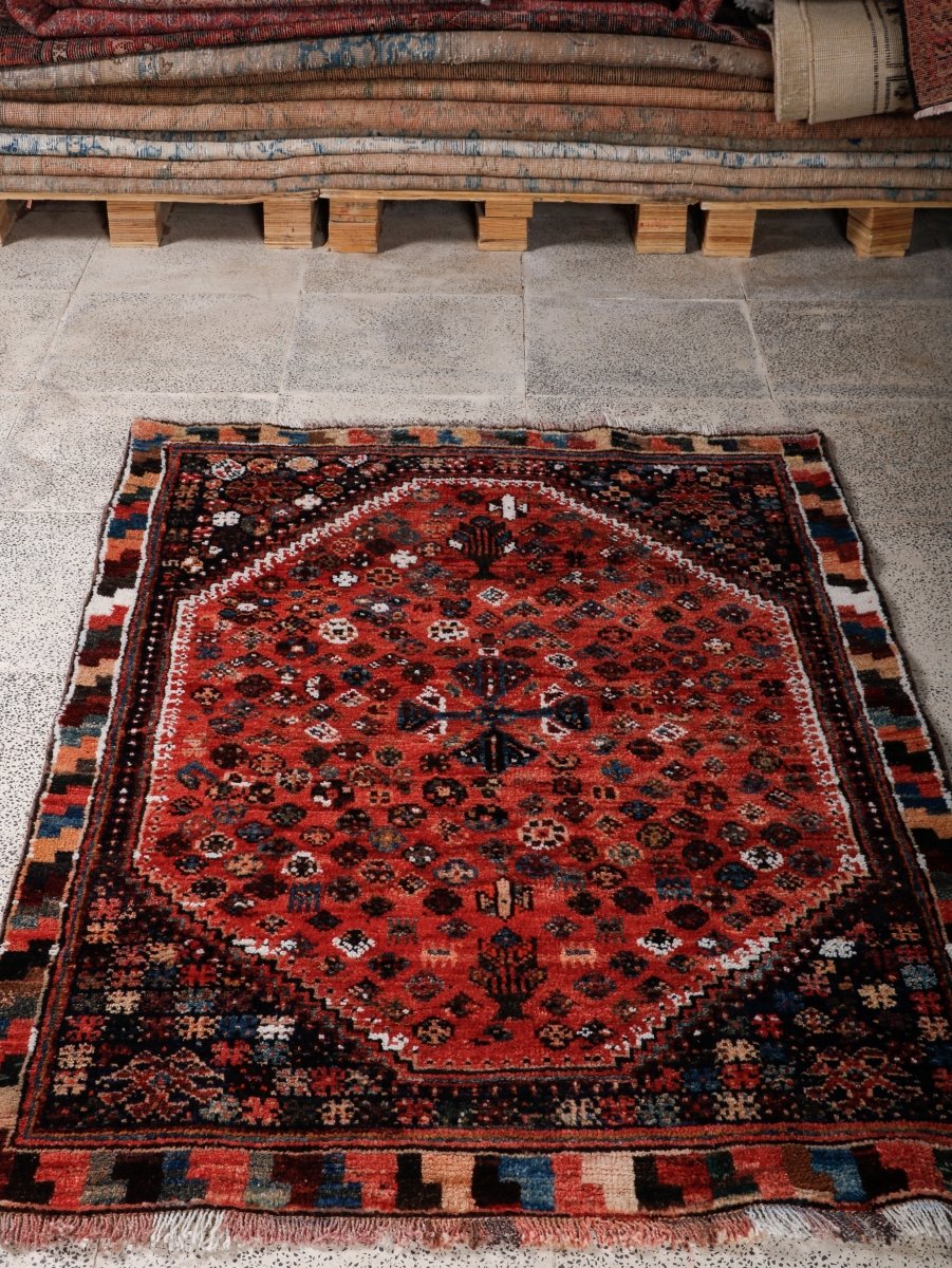Persian Shiraz Rug — Coral Rosettes & Checkered Border | 3'6" × 5'1"