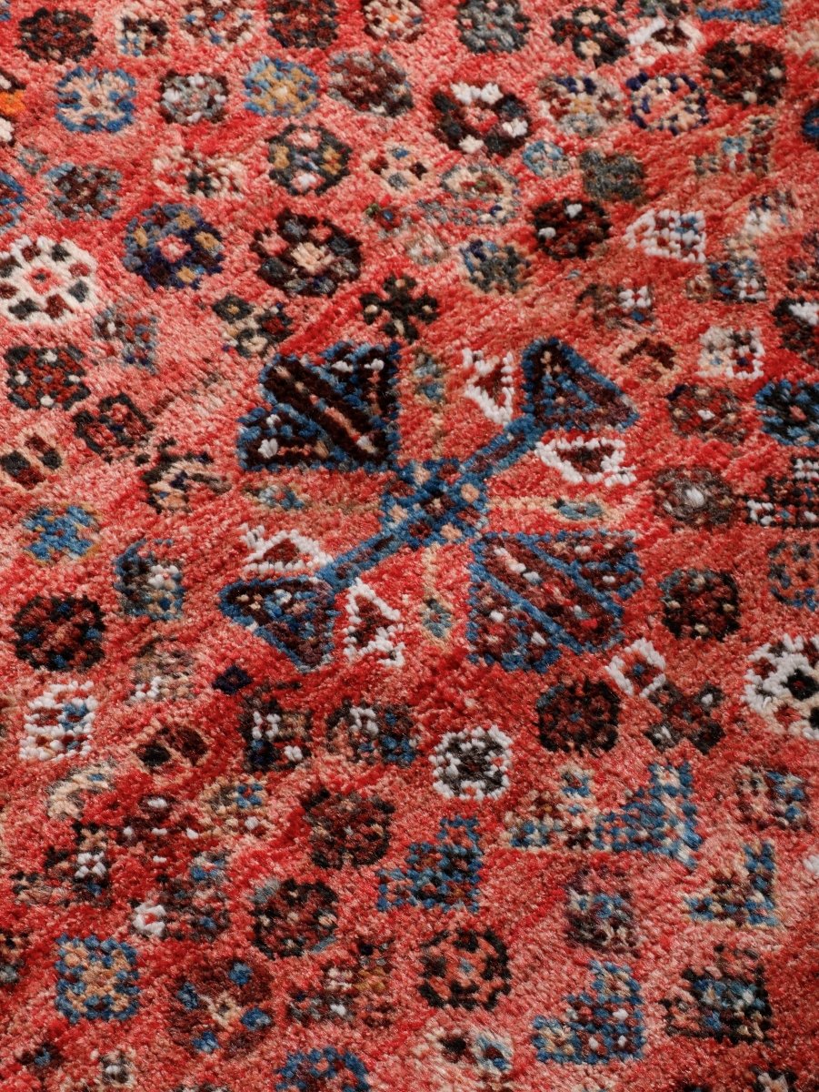 Persian Shiraz Rug — Coral Rosettes & Checkered Border | 3'6" × 5'1"