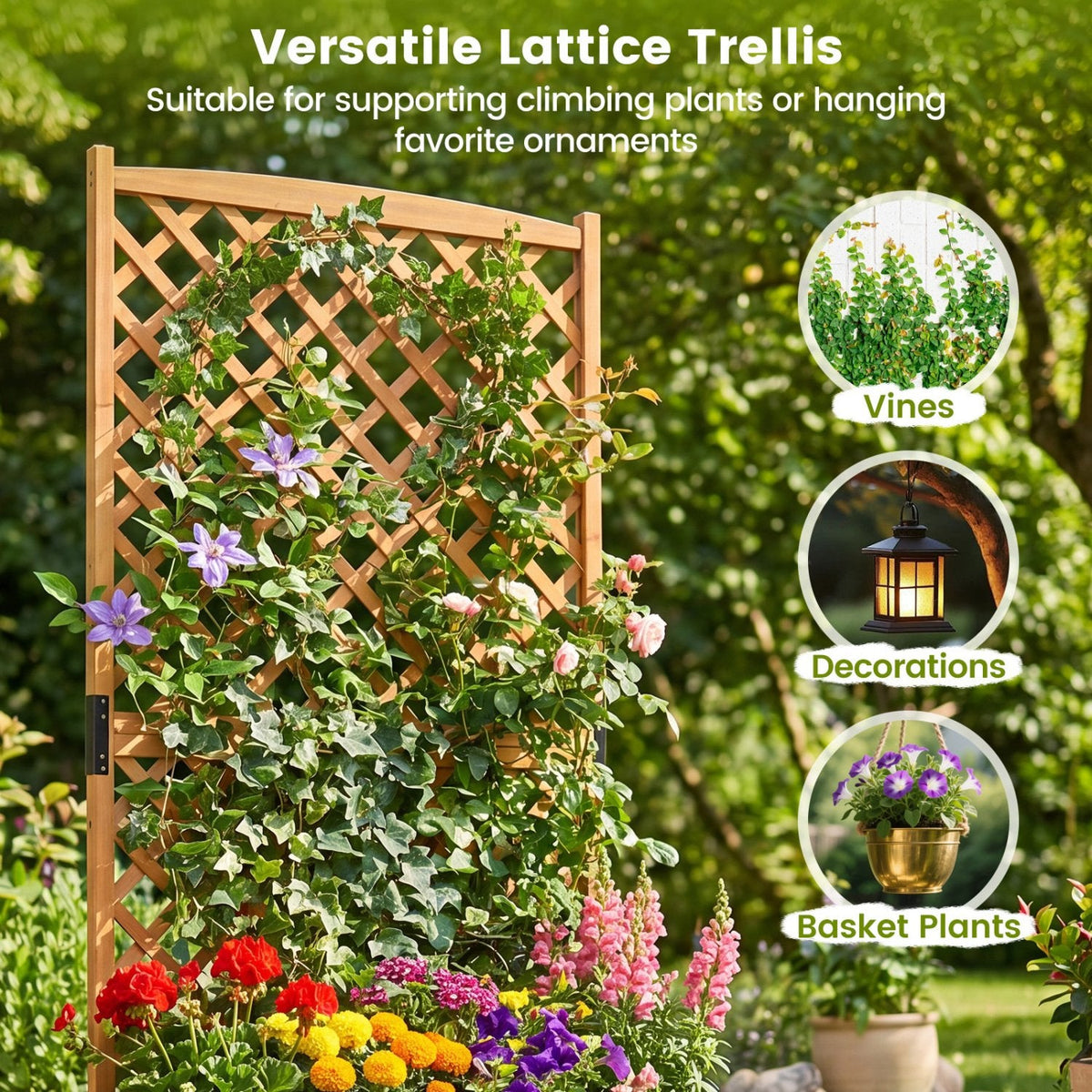 Jardinera elevada con enrejado alto, jardinera de jardín de abeto de 71 pulgadas para plantas trepadoras