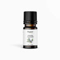 Rosemary Essential Oil – Regro by Rayhana (10 ML)