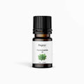 Thyme Essential Oil – Regro by Rayhana 10 ML