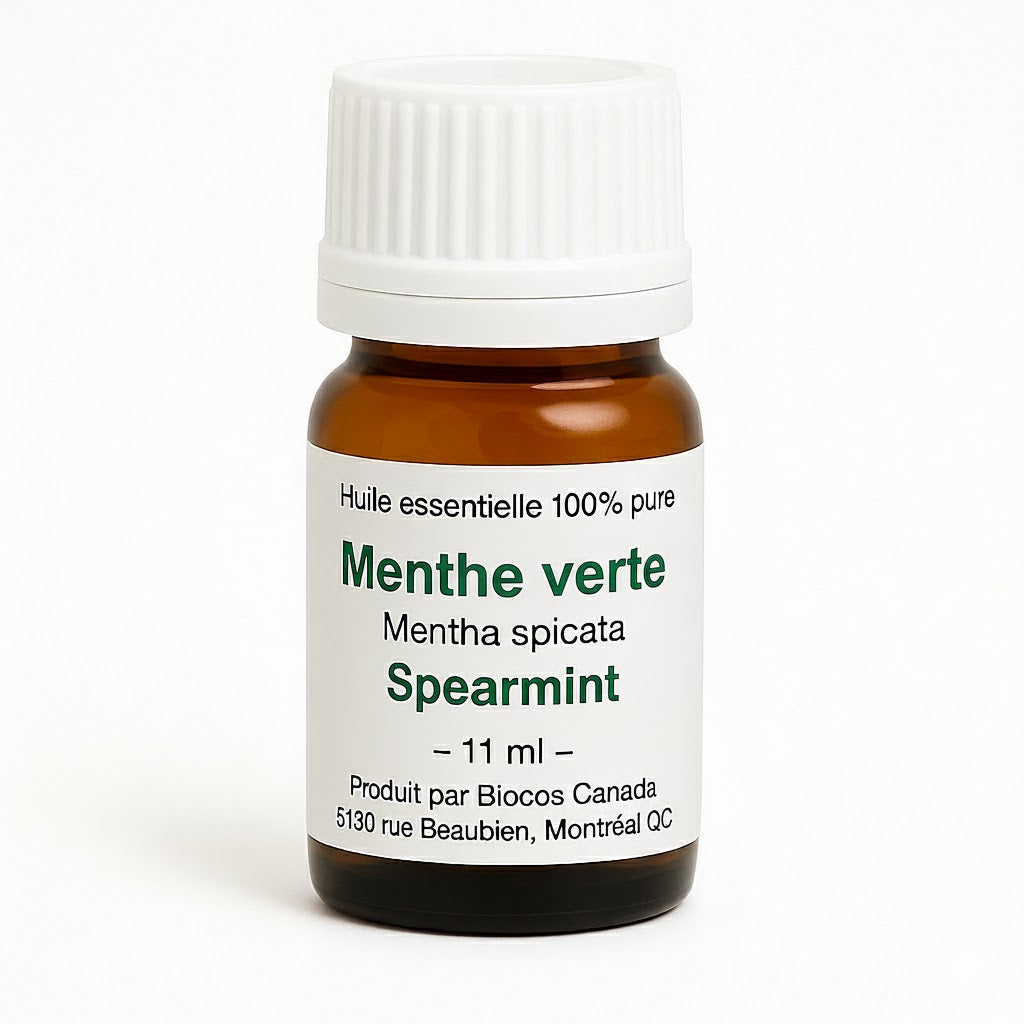 Menthe verte