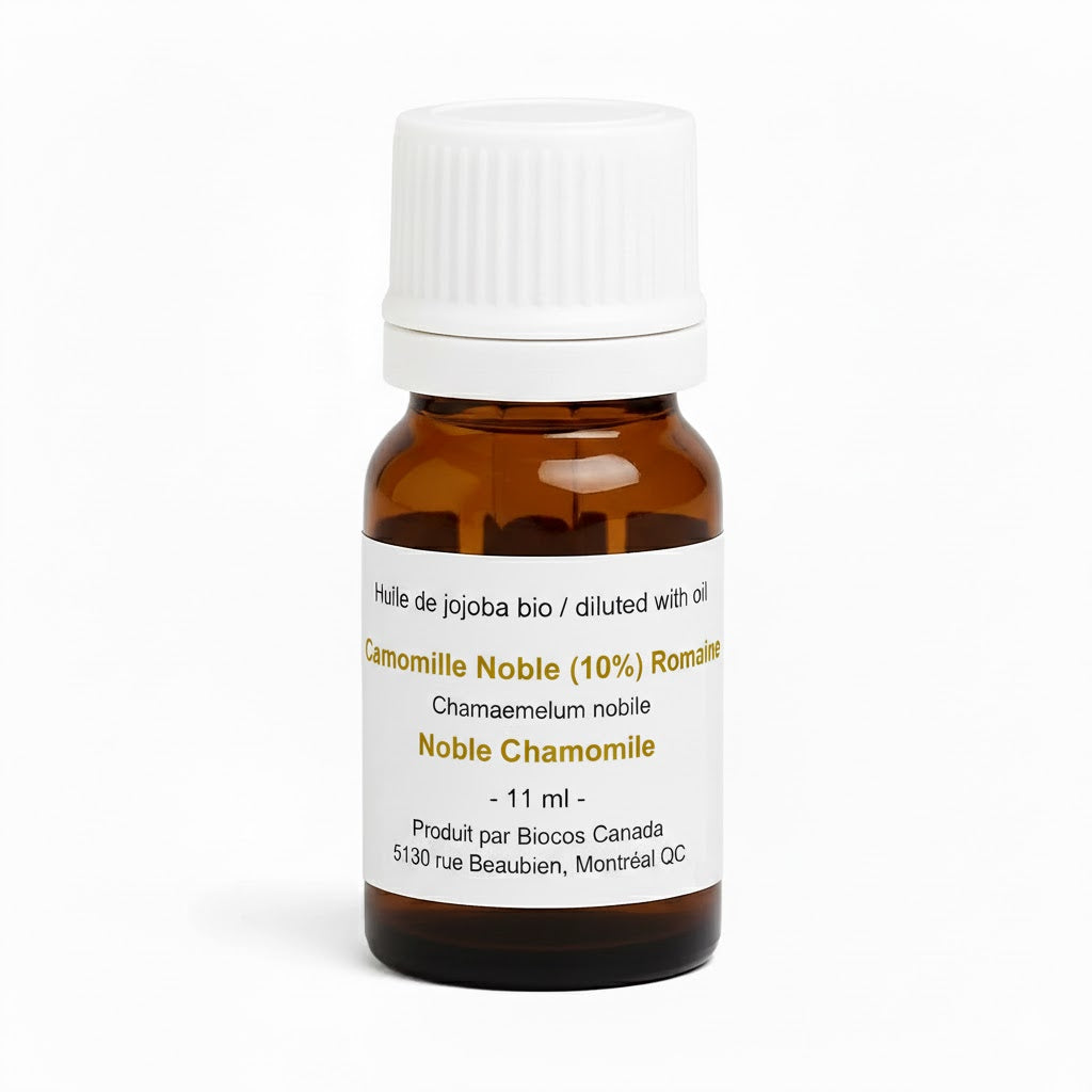 Römische Kamille