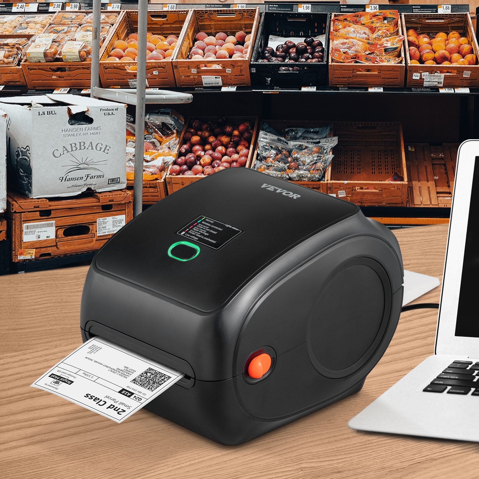 Thermal Label Printer, 300DPI for 4x6 Mailing Packages, Wireless Sapphire Castor